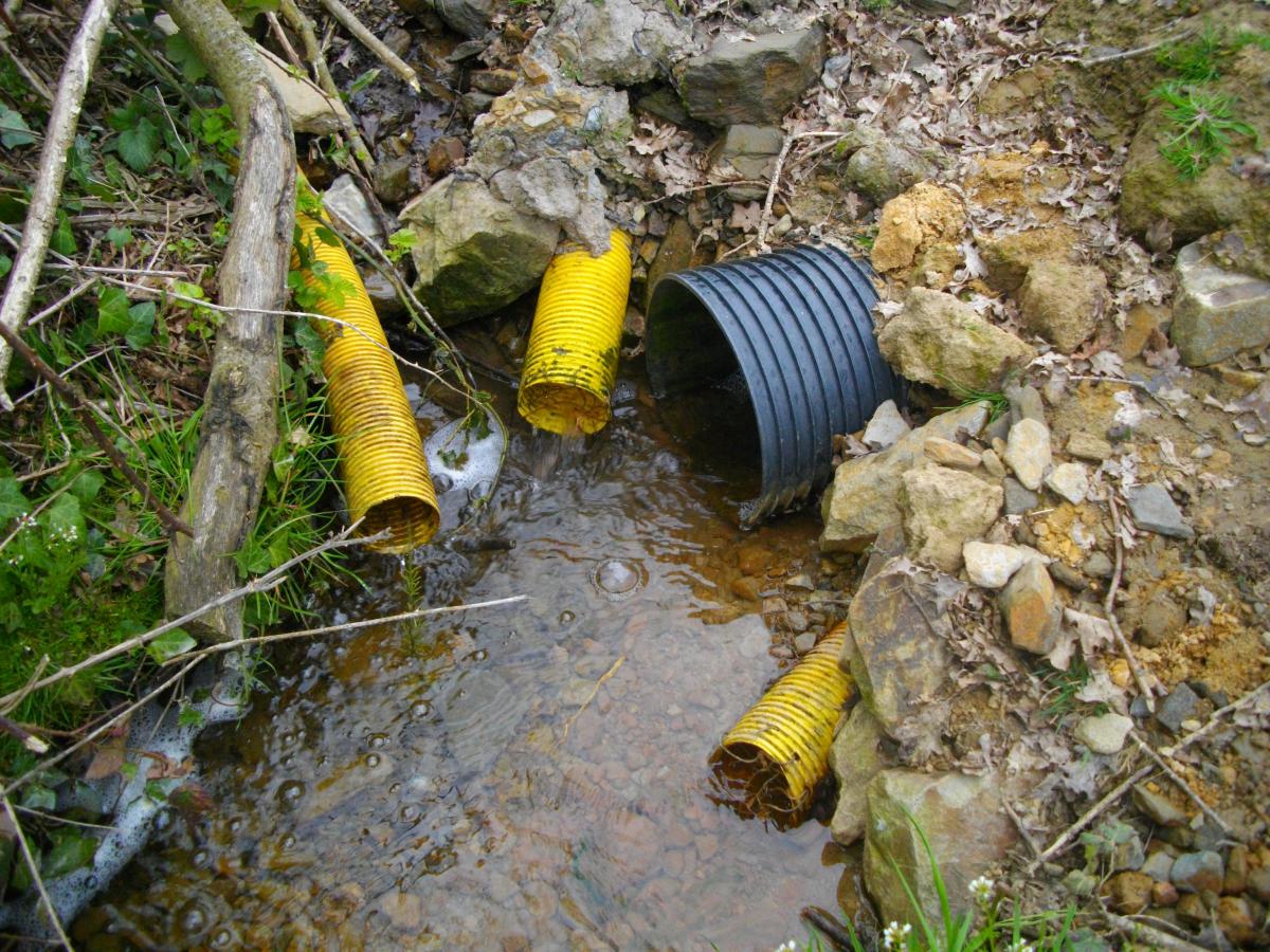 Sortie de drains dans un cours d'eau