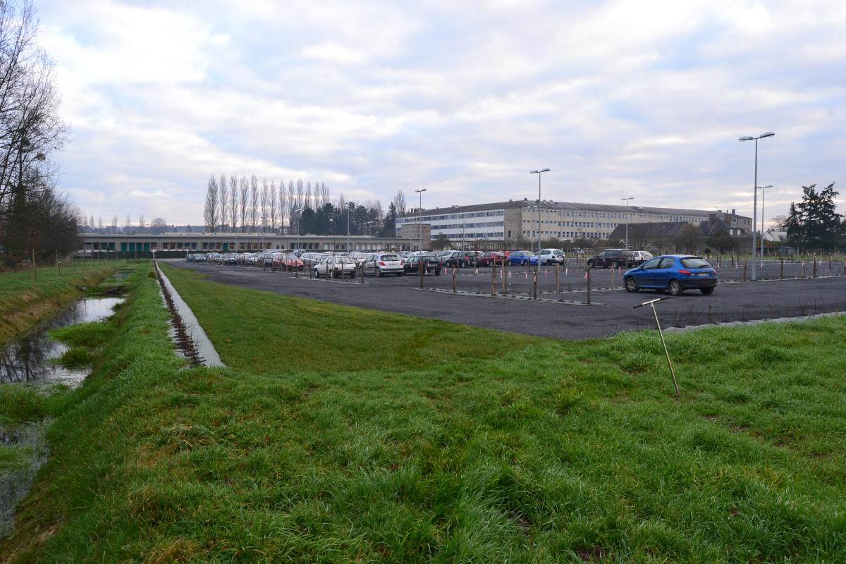 Zone humide drainée pour la construction d'un parking