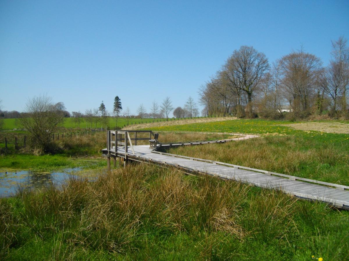 Sentier sur pilotis