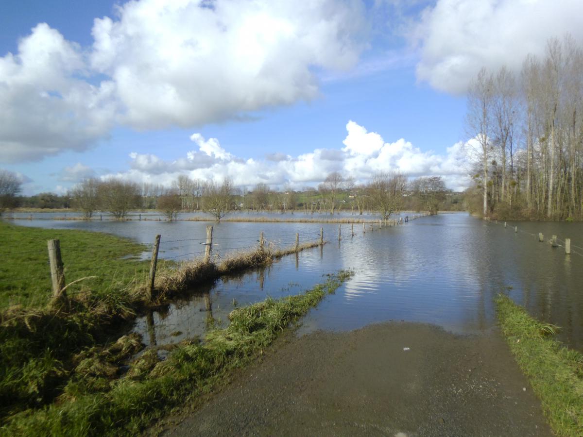 Prairie inondable